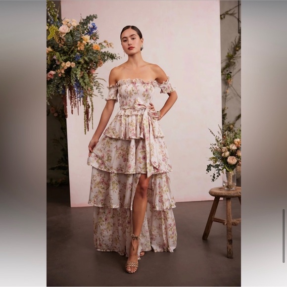 V. Chapman Dresses & Skirts - V. Chapman- Angelina Dress in Pink Rose Print (Size 2)